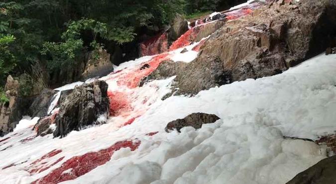 Rio Vermelho: acidente muda a cor de rio que corta a cidade de Goiás(foto: Reprodução/Corpo de Bombeiros do Estado de Goiás) Rio Vermelho: acidente muda a cor de rio que corta a cidade de Goiás(foto: Reprodução/Corpo de Bombeiros do Estado de Goiás)