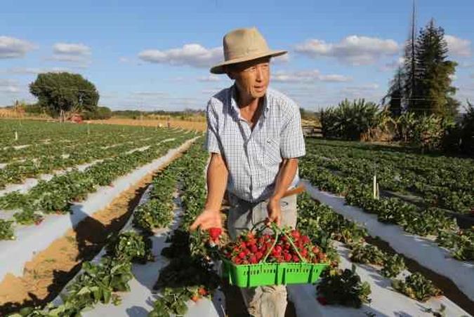 Mais de 4 milhões de locais ainda serão visitados até fevereiro do ano que vem(foto: Arquivo/Valter Campanato/Agência Brasil) Mais de 4 milhões de locais ainda serão visitados até fevereiro do ano que vem(foto: Arquivo/Valter Campanato/Agência Brasil)