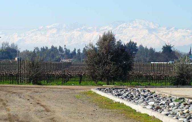 Além de verdes vales e bosques nativos, os vinhedos completam as lindas paisagens do país andino(foto: Vinícolas Chile/Divulgação) Além de verdes vales e bosques nativos, os vinhedos completam as lindas paisagens do país andino(foto: Vinícolas Chile/Divulgação)