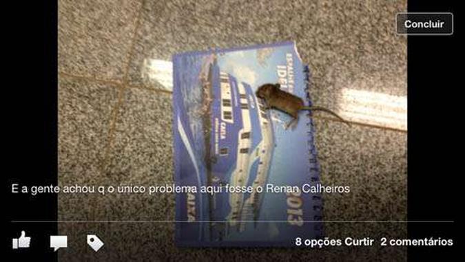 (foto: Reprodução do post com a imagem do animal morto) (foto: Reprodução do post com a imagem do animal morto)