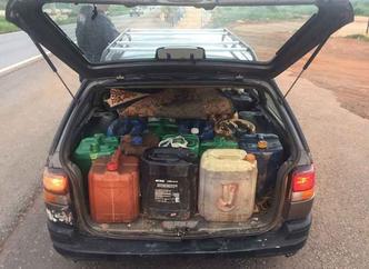 O criminoso trabalhava na empresa. Um representante da agência chegou a buscar o diesel na delegacia(foto: Divulgação/PMDF) O criminoso trabalhava na empresa. Um representante da agência chegou a buscar o diesel na delegacia(foto: Divulgação/PMDF)
