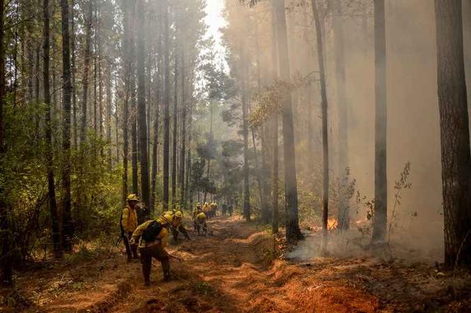 Entre janeiro e fevereiro de 2017, o Chile viveu um megaincêndio florestal que deixou 11 falecidos, 1.500 casas e quase 500.000 hectares destruídos(foto: Martin BERNETTI / AFP ) Entre janeiro e fevereiro de 2017, o Chile viveu um megaincêndio florestal que deixou 11 falecidos, 1.500 casas e quase 500.000 hectares destruídos(foto: Martin BERNETTI / AFP )