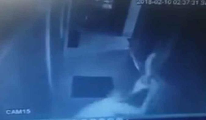Momento em que o homem joga o cão com força para baixo; animal acabou batendo na parede(foto: Reprdução) Momento em que o homem joga o cão com força para baixo; animal acabou batendo na parede(foto: Reprdução)
