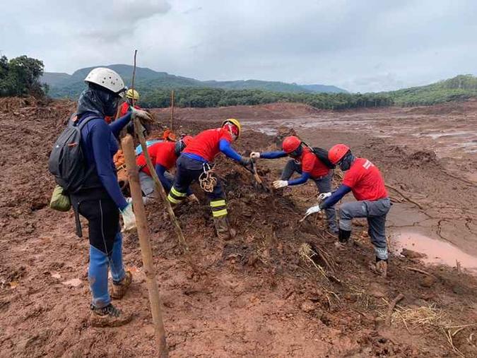18 bombeiros do DF realizam buscas em Brumadinho(foto: Reprodução/CBMDF) 18 bombeiros do DF realizam buscas em Brumadinho(foto: Reprodução/CBMDF)