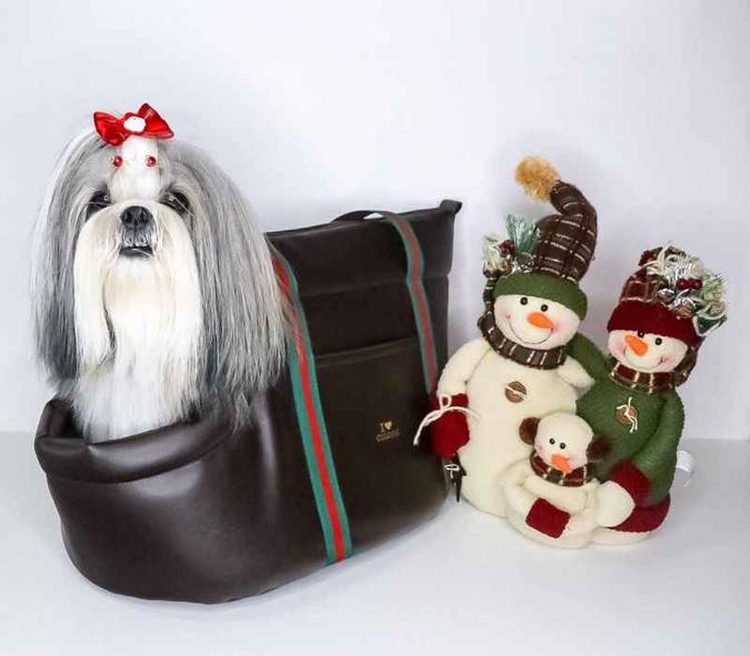 Além de levar o melhor amigo para todo lado, essa bolsa é um charme. Da Coldog para a AuAu Petshop (R$ 340).(foto: Divulgação) Além de levar o melhor amigo para todo lado, essa bolsa é um charme. Da Coldog para a AuAu Petshop (R$ 340).(foto: Divulgação)