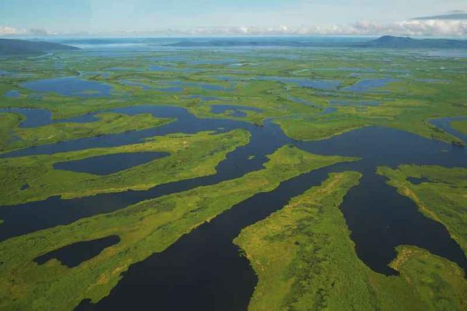 O Pantanal é um dos biomas mais preservados no país, mas segue pressionado pelo aumento da atividade humana: mais de 3.500 tipos de plantas(foto: Carl de Souza/AFP) O Pantanal é um dos biomas mais preservados no país, mas segue pressionado pelo aumento da atividade humana: mais de 3.500 tipos de plantas(foto: Carl de Souza/AFP)