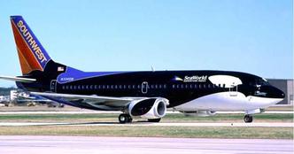 Em 1988 surgiu o primeiro avião decorado, em homenagem à orca Shamu(foto: CNBC/Reprodução) Em 1988 surgiu o primeiro avião decorado, em homenagem à orca Shamu(foto: CNBC/Reprodução)