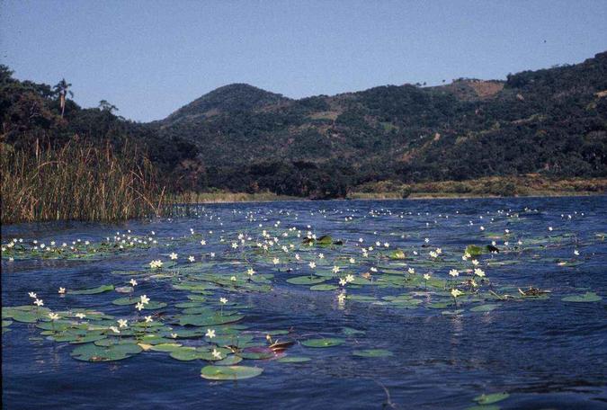 Lagoa do Peri, em Florianópolis (SC), ganhou uma bandeira azul(foto: Oliveira Carvalho Jr/Divulgação) Lagoa do Peri, em Florianópolis (SC), ganhou uma bandeira azul(foto: Oliveira Carvalho Jr/Divulgação)