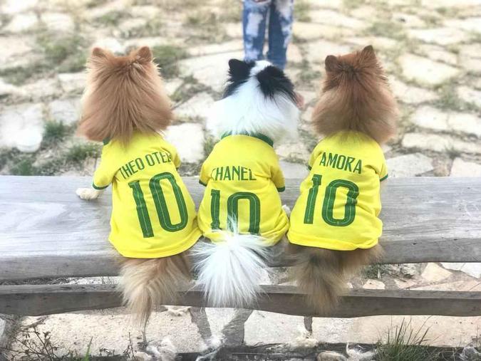 O tutor Manoel, personalizou as camisetas da seleção com nome dos petsArquivo Pessoal/CB O tutor Manoel, personalizou as camisetas da seleção com nome dos petsArquivo Pessoal/CB
