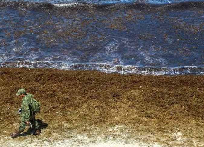 Presos também estão participando de mutirão de limpeza nas praias poluídas do Nordeste(foto: REUTERS/Diego Nigro) Presos também estão participando de mutirão de limpeza nas praias poluídas do Nordeste(foto: REUTERS/Diego Nigro)
