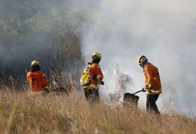 A partir das 11h, equipe do CBMDF chegou ao local para combater o fogo(foto: CBMDF/Divulgação) A partir das 11h, equipe do CBMDF chegou ao local para combater o fogo(foto: CBMDF/Divulgação)
