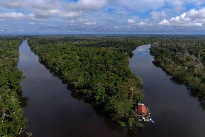 Reserva de Desenvolvimento Sustentável Mamirauá, no estado do Amazonas, Brasil(foto: Mauro Pimentel/AFP) Reserva de Desenvolvimento Sustentável Mamirauá, no estado do Amazonas, Brasil(foto: Mauro Pimentel/AFP)