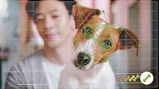 Software de inteligência artificial interpreta reações do animal e a partir delas inclui produtos na cesta de compras(foto: Divulgação) Software de inteligência artificial interpreta reações do animal e a partir delas inclui produtos na cesta de compras(foto: Divulgação)