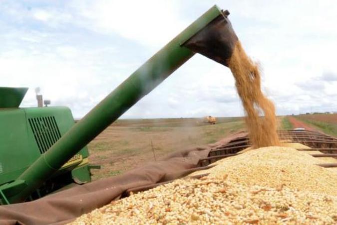 A Região Centro-Oeste é a maior produtora de cereais, leguminosas e oleaginosas(foto: Arquivo/Agência Brasil ) A Região Centro-Oeste é a maior produtora de cereais, leguminosas e oleaginosas(foto: Arquivo/Agência Brasil )