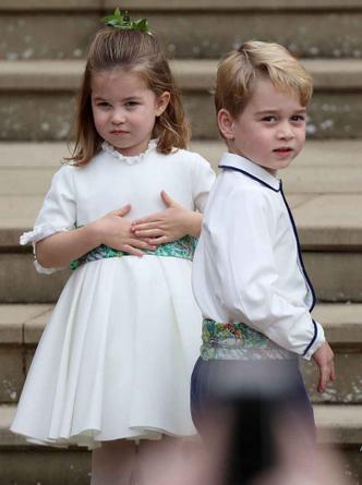 (foto: AFP) (foto: AFP)