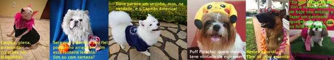 (foto: Arquivo pessoal) (foto: Arquivo pessoal)
