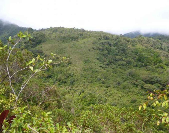 Em geral, a licença ambiental tem três etapas - a prévia, a de instalação e a de operação, que permite a atividade do empreendimento(foto: David Edwards/Divulgação) Em geral, a licença ambiental tem três etapas - a prévia, a de instalação e a de operação, que permite a atividade do empreendimento(foto: David Edwards/Divulgação)