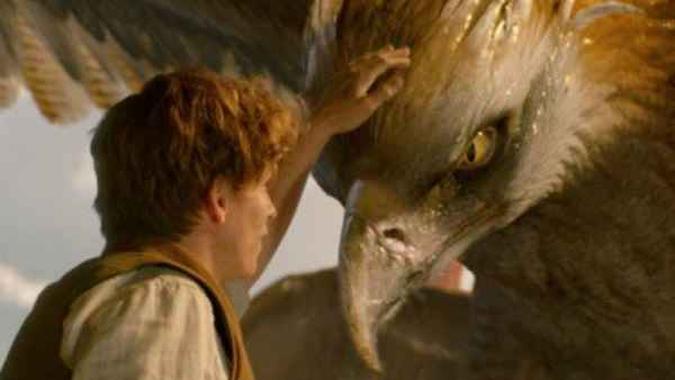 Eddie Redmayne protagoniza o novo filme do universo mágico(foto: Internet/Reprodução) Eddie Redmayne protagoniza o novo filme do universo mágico(foto: Internet/Reprodução)