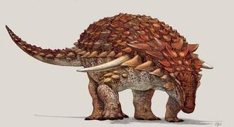 Ao contrário da maioria dos espécimes de dinossauro, que consistem em esqueletos ou fragmentos ósseos, este é tridimensional e está coberto com uma pele escamosa preservada(foto: Royal Tyrrell Museum of Paleontology/ AFP - 3/8/2017) Ao contrário da maioria dos espécimes de dinossauro, que consistem em esqueletos ou fragmentos ósseos, este é tridimensional e está coberto com uma pele escamosa preservada(foto: Royal Tyrrell Museum of Paleontology/ AFP - 3/8/2017)