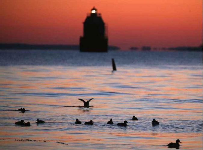 Novas leis e melhores práticas agrícolas eliminaram praticamente todas as áreas sem O2 na Baía de Chesapeake, nos Estados Unidos(foto: Mark Wilson/Getty Images/AFP) Novas leis e melhores práticas agrícolas eliminaram praticamente todas as áreas sem O2 na Baía de Chesapeake, nos Estados Unidos(foto: Mark Wilson/Getty Images/AFP)