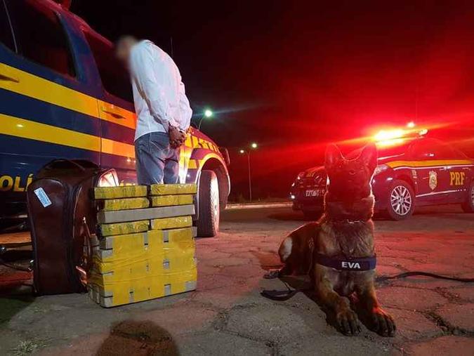 Graças à cadela farejadora Eva, policiais encontraram homem com 28kg de droga em Planaltina(foto: Reprodução/PRF) Graças à cadela farejadora Eva, policiais encontraram homem com 28kg de droga em Planaltina(foto: Reprodução/PRF)