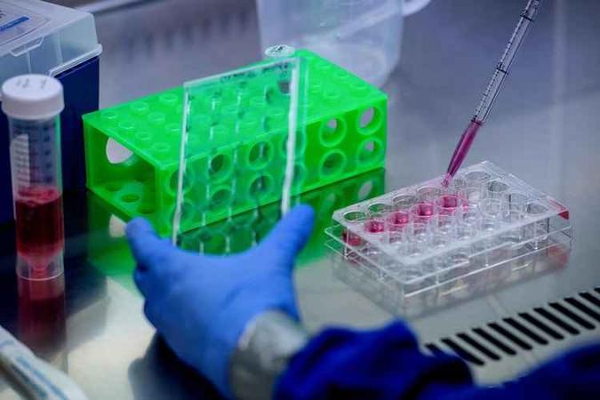 Doze grupos de pesquisa estão na fase de testes de vacina em humanos. Alguns querem produzir doses em larga escala antes dos resultados finais(foto: Karoly Arvai/AFP) Doze grupos de pesquisa estão na fase de testes de vacina em humanos. Alguns querem produzir doses em larga escala antes dos resultados finais(foto: Karoly Arvai/AFP)