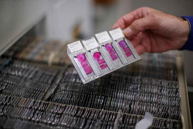Exame de DNA: juiz considerou caso como multiparentalidade biológica(foto: TOLGA AKMEN/AFP) Exame de DNA: juiz considerou caso como multiparentalidade biológica(foto: TOLGA AKMEN/AFP)