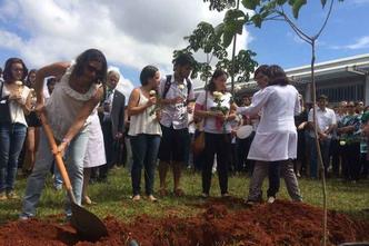A estudante ficou imortalizada em um ipê rosa, cor que adorava, plantado no jardim central do Instituto de Biologia(foto: Breno Fortes/CB/D.A Press) A estudante ficou imortalizada em um ipê rosa, cor que adorava, plantado no jardim central do Instituto de Biologia(foto: Breno Fortes/CB/D.A Press)