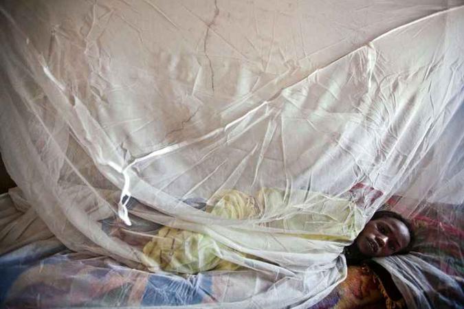 Há lugares em que os insetos são imunes a todos os tipos de substância-chave colocada nos mosquiteiros(foto: Albert Gonzalez Farran/AFP - 13/5/13 ) Há lugares em que os insetos são imunes a todos os tipos de substância-chave colocada nos mosquiteiros(foto: Albert Gonzalez Farran/AFP - 13/5/13 )