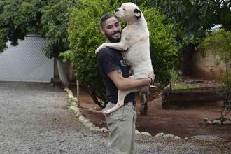 Aumenta o número de cuidadores de cachorros; conheça os pet sitters