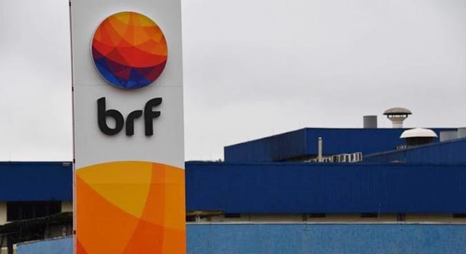 A investigação que culminou na Operação Trapaça começou nas granjas e, posteriormente, passou pelos frigoríficos e laboratórios(foto: Nelson Almeida/AFP) A investigação que culminou na Operação Trapaça começou nas granjas e, posteriormente, passou pelos frigoríficos e laboratórios(foto: Nelson Almeida/AFP)