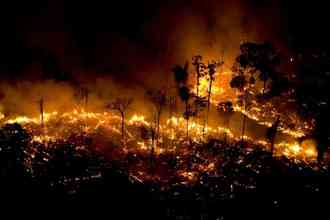 Famosos fazem apelo nas redes sociais sobre queimadas na Amazônia