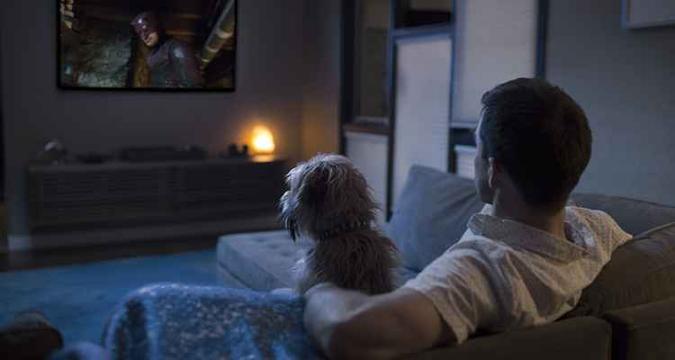 Brasil é o país que mais tem pessoas assistindo a Netflix com os pets(foto: Divulgação/Netflix) Brasil é o país que mais tem pessoas assistindo a Netflix com os pets(foto: Divulgação/Netflix)