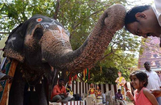 (foto: Arun Sankar/AFP)