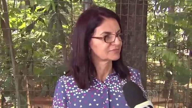 (foto: Youtube/Reprodução) (foto: Youtube/Reprodução)