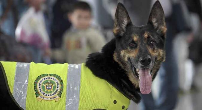 (foto: Raul Arboleda/AFP) (foto: Raul Arboleda/AFP)