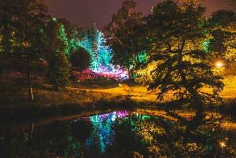 (foto: Sebastian Barros/Wilderness Festival) (foto: Sebastian Barros/Wilderness Festival)