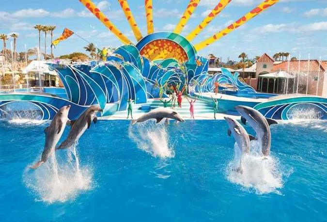 (foto: SeaWorld/Divulgação) (foto: SeaWorld/Divulgação)