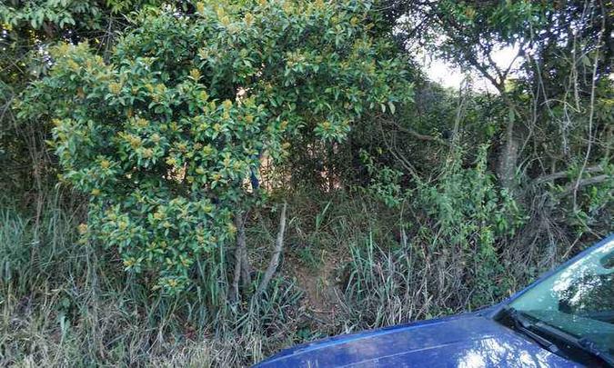 Matagal no povoado Campos de São João, no município de Palmeiras, na Bahia, onde o corpo de uma criança foi encontrado. A cidade fica a 1033 km de Brasília(foto: Divulgação Polícia Civil da Bahia) Matagal no povoado Campos de São João, no município de Palmeiras, na Bahia, onde o corpo de uma criança foi encontrado. A cidade fica a 1033 km de Brasília(foto: Divulgação Polícia Civil da Bahia)