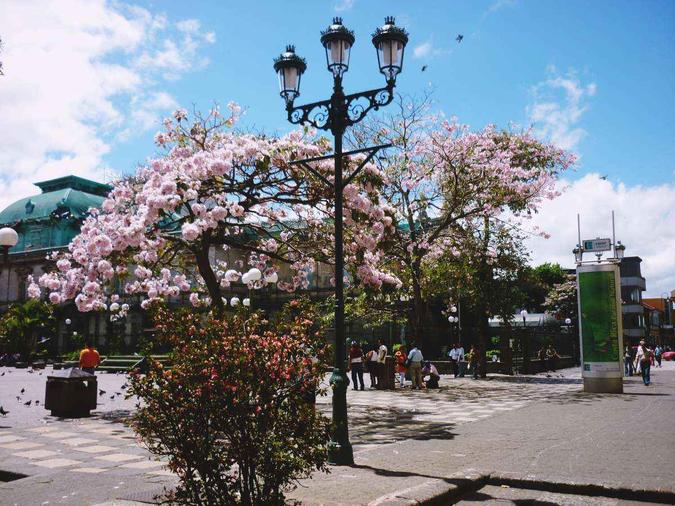 (foto: Trans Costa Rica Tours/Flickr ) (foto: Trans Costa Rica Tours/Flickr )