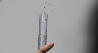 Novos testes deverão ser feitos para verificar se o zika apresenta comportamento semelhante nos testículos de outros animais(foto: Apu Gomes/APF) Novos testes deverão ser feitos para verificar se o zika apresenta comportamento semelhante nos testículos de outros animais(foto: Apu Gomes/APF)