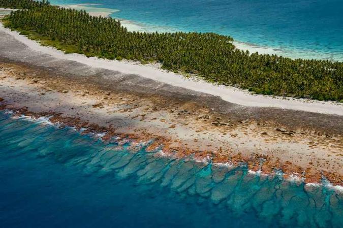Coral na costa australiana: especialistas estimam que mais de 50% dessas formações marinhas foram perdidas nos últimos 40 anos(foto: Fundação Khaled bin Sultan Living Oceans/Divulgação) Coral na costa australiana: especialistas estimam que mais de 50% dessas formações marinhas foram perdidas nos últimos 40 anos(foto: Fundação Khaled bin Sultan Living Oceans/Divulgação)