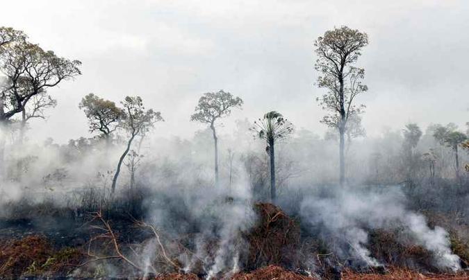 (foto: Joao Laet/AFP) (foto: Joao Laet/AFP)