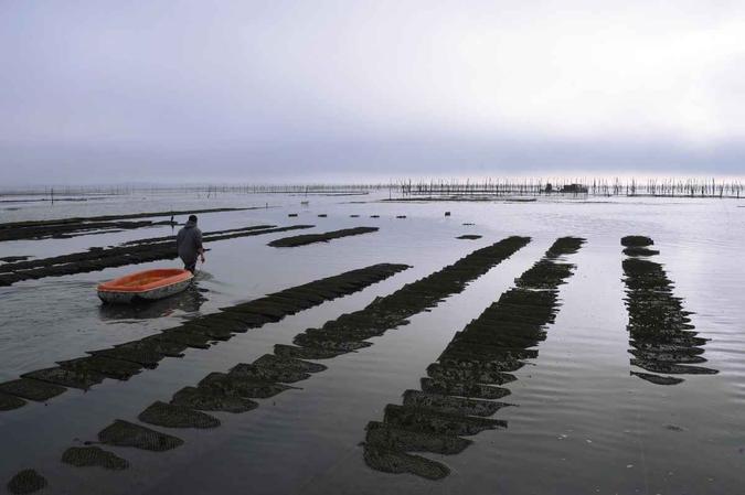 Aquicultura na baía Arcachon, na França(foto: Mehdi Fedouach/AFP) Aquicultura na baía Arcachon, na França(foto: Mehdi Fedouach/AFP)