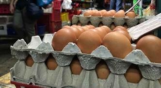 O fipronil é um pesticida corrente encontrado em produtos veterinários, mas seu uso é proibido em animais destinados ao consumo e à indústria alimentícia na União Europeia (UE)(foto: Anthony Wallace / AFP - 11/8/2017) O fipronil é um pesticida corrente encontrado em produtos veterinários, mas seu uso é proibido em animais destinados ao consumo e à indústria alimentícia na União Europeia (UE)(foto: Anthony Wallace / AFP - 11/8/2017)